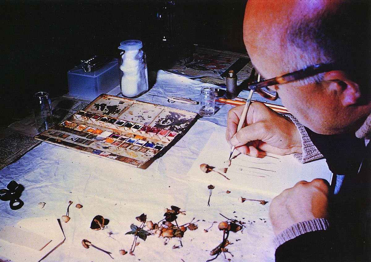 Hommage à Roger Heim L’écologiste, le mycologue, le&nbsp;psychonaute